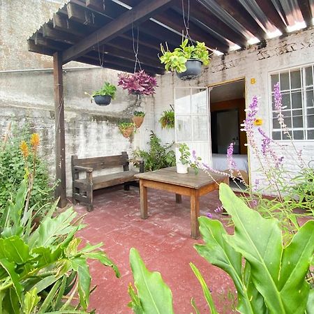 Casa Canario Hostel Guadalajara Dış mekan fotoğraf