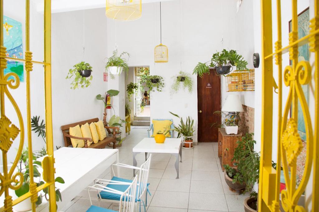 Casa Canario Hostel Guadalajara Dış mekan fotoğraf