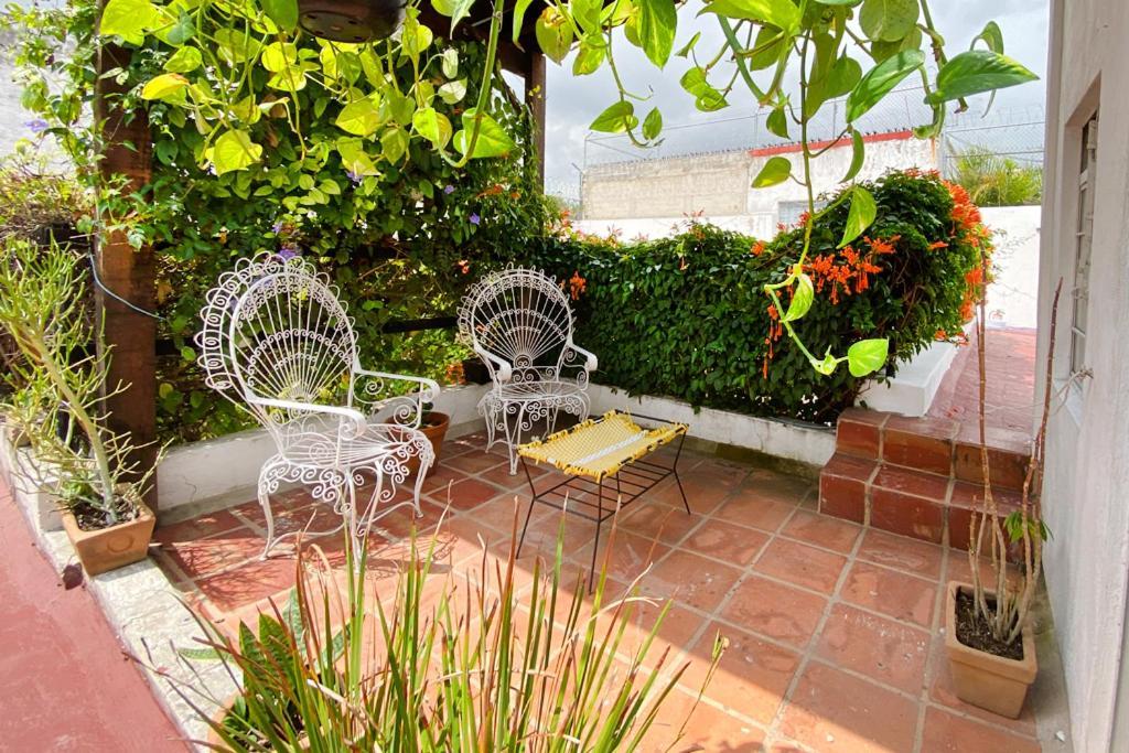 Casa Canario Hostel Guadalajara Dış mekan fotoğraf