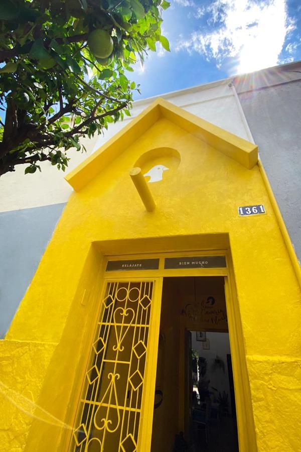 Casa Canario Hostel Guadalajara Dış mekan fotoğraf