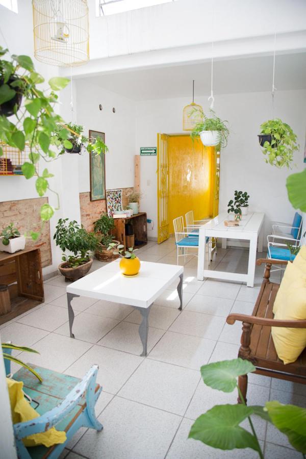 Casa Canario Hostel Guadalajara Dış mekan fotoğraf
