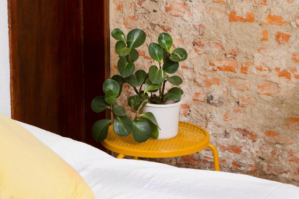 Casa Canario Hostel Guadalajara Dış mekan fotoğraf