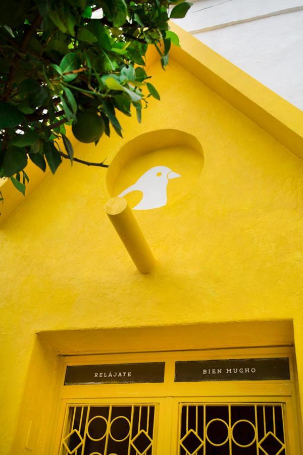 Casa Canario Hostel Guadalajara Dış mekan fotoğraf