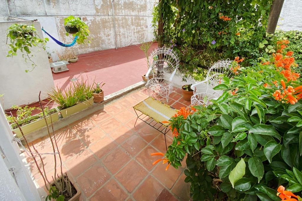 Casa Canario Hostel Guadalajara Dış mekan fotoğraf
