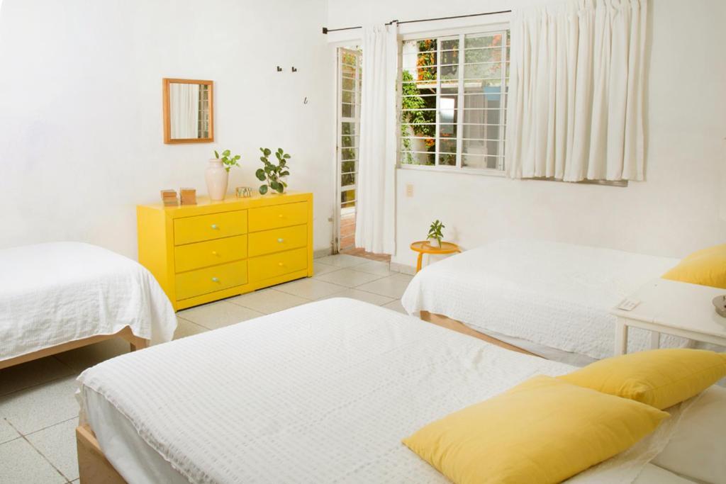 Casa Canario Hostel Guadalajara Dış mekan fotoğraf