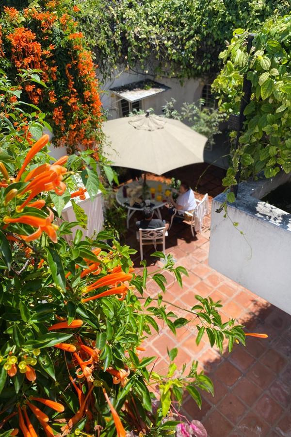 Casa Canario Hostel Guadalajara Dış mekan fotoğraf