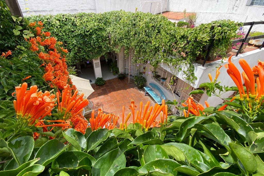 Casa Canario Hostel Guadalajara Dış mekan fotoğraf