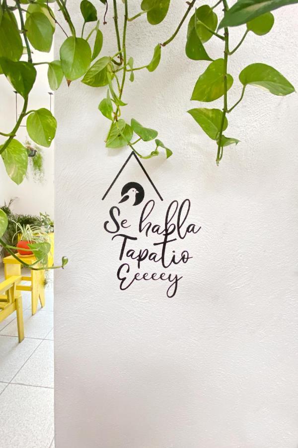 Casa Canario Hostel Guadalajara Dış mekan fotoğraf