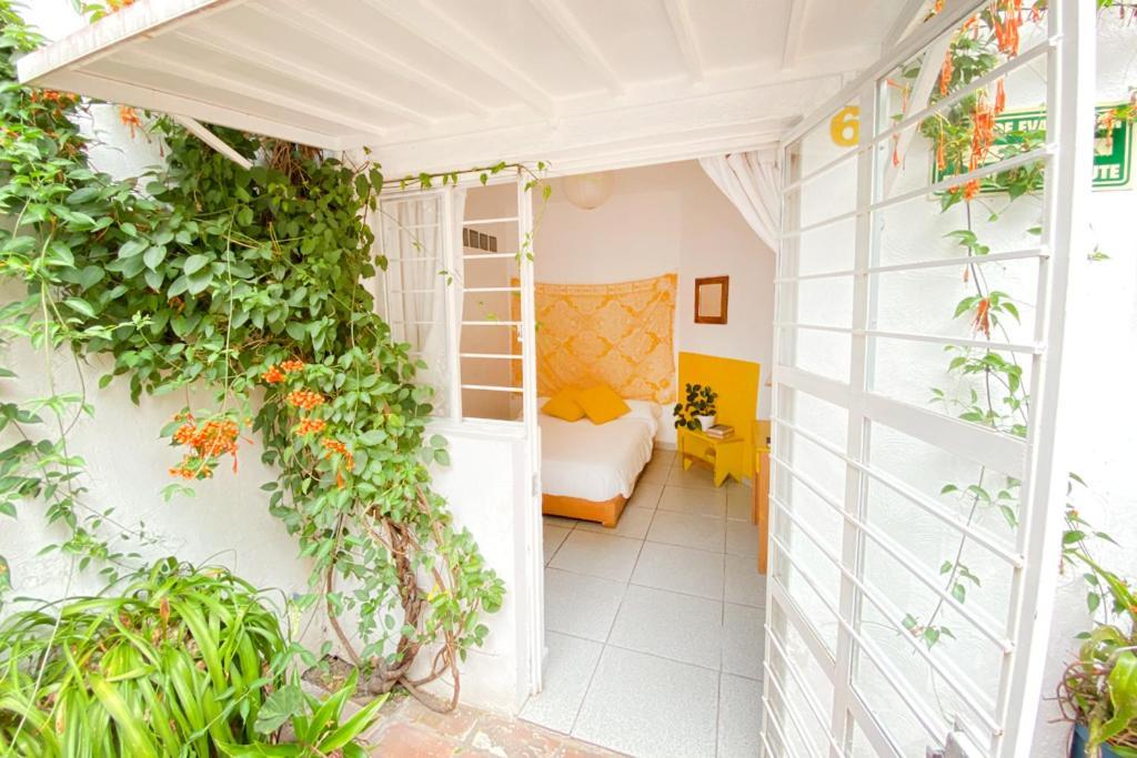 Casa Canario Hostel Guadalajara Dış mekan fotoğraf