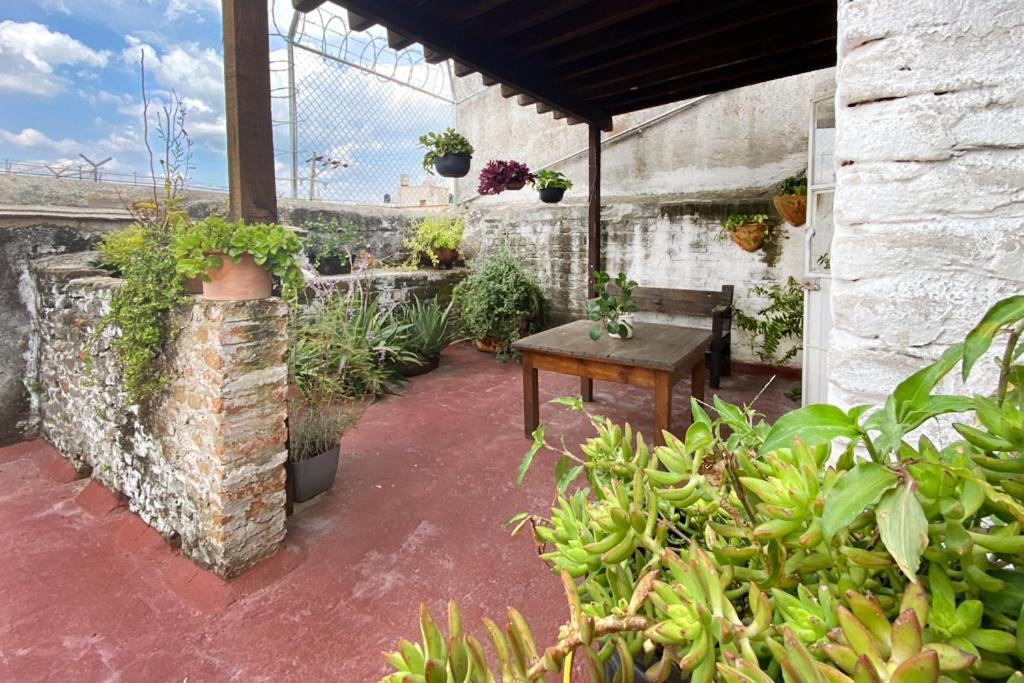 Casa Canario Hostel Guadalajara Dış mekan fotoğraf
